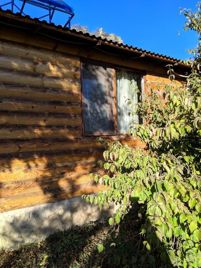 Villa Old Halidzor Esterno foto